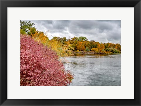 Framed Snake River Autumn IV Print