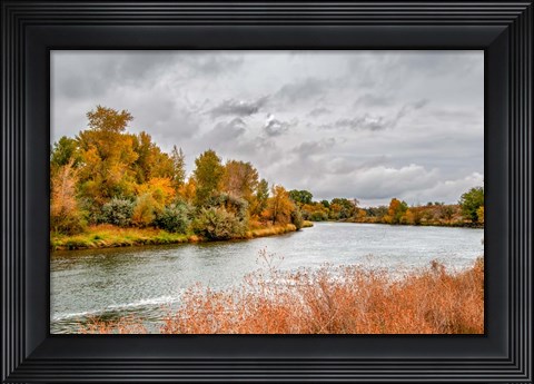 Framed Snake River Autumn V Print
