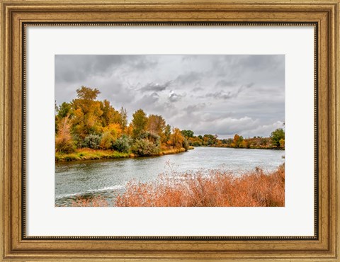 Framed Snake River Autumn V Print