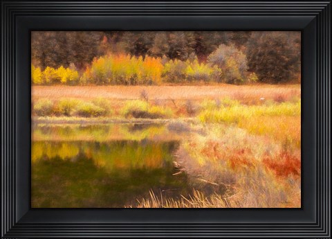 Framed Autumn Pond Print