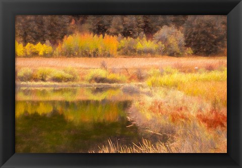 Framed Autumn Pond Print