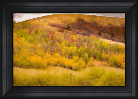 Framed Autumn on the Hill Print