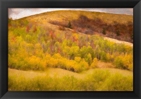 Framed Autumn on the Hill Print