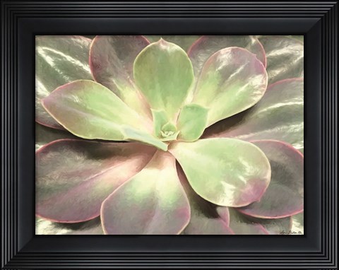 Framed Glowing Succulent I Print
