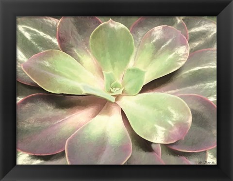 Framed Glowing Succulent I Print