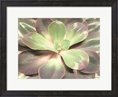 Framed Glowing Succulent I Print