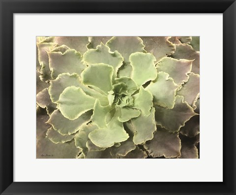 Framed Glowing Succulent II Print