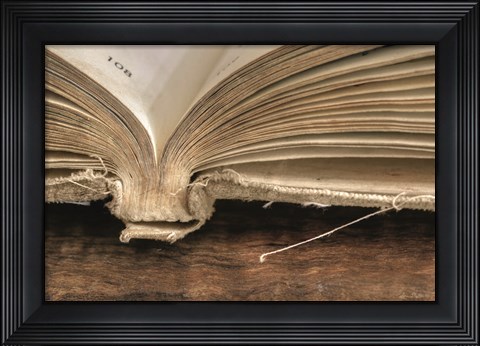 Framed Page 108 Print