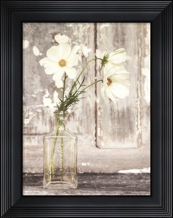 Framed Cosmos Summer Bloom Print