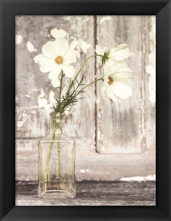 Framed Cosmos Summer Bloom Print