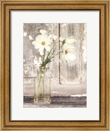 Framed Cosmos Summer Bloom Print