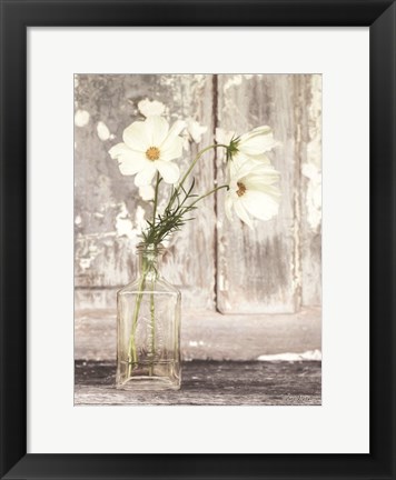 Framed Cosmos Summer Bloom Print