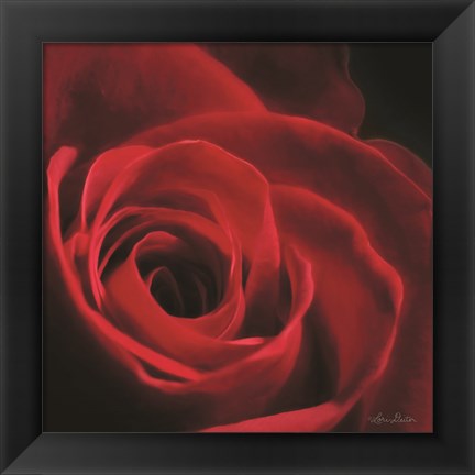 Framed Red Rose I Print