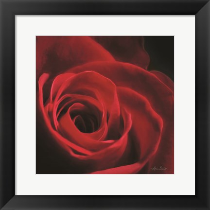 Framed Red Rose I Print