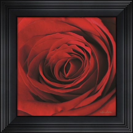 Framed Red Rose II Print