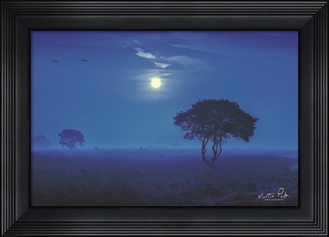 Framed Blue Savannah Print
