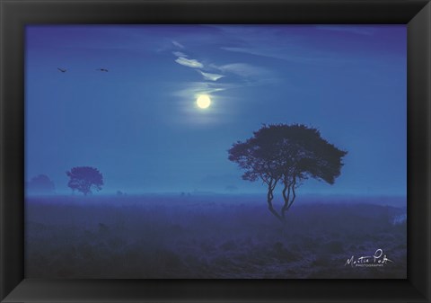 Framed Blue Savannah Print