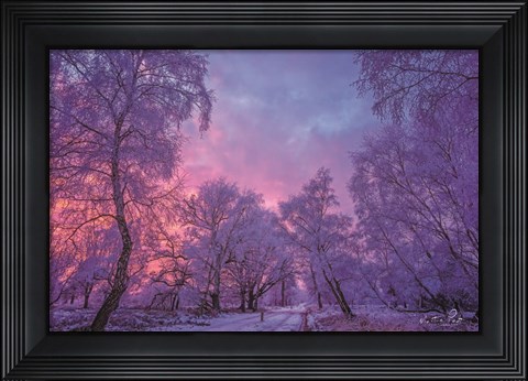 Framed Winter Wonderland Print