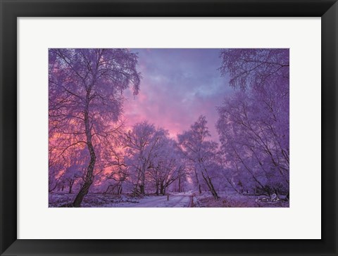 Framed Winter Wonderland Print