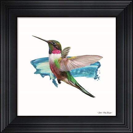 Framed Hummingbird II Print