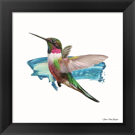 Framed Hummingbird II Print