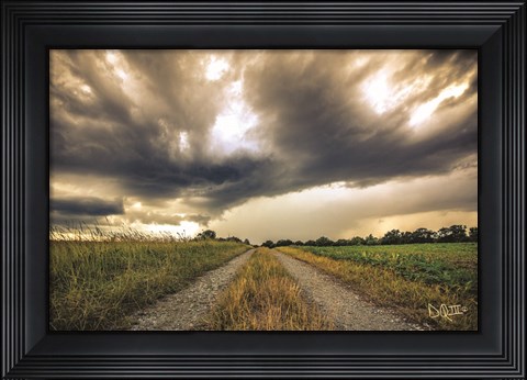 Framed Embrace the Storm II Print