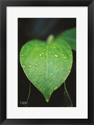 Framed Green Leaf Print