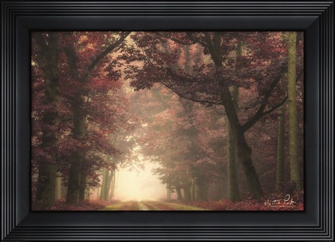 Framed Dark Mystery Print