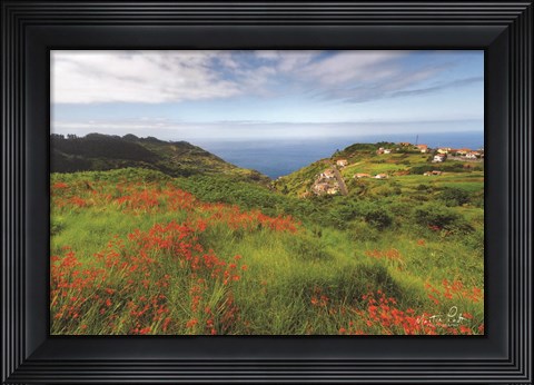 Framed Flowers of Madeira Print