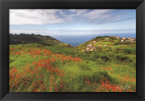 Framed Flowers of Madeira Print