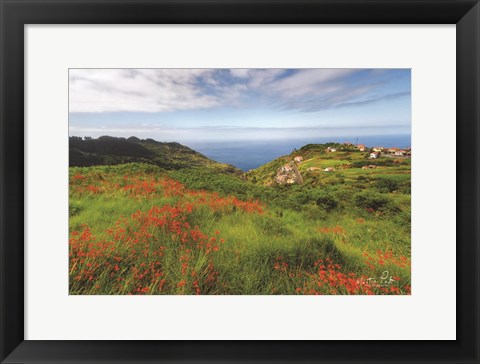 Framed Flowers of Madeira Print