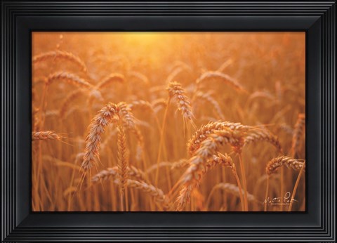 Framed Golden Morning Print