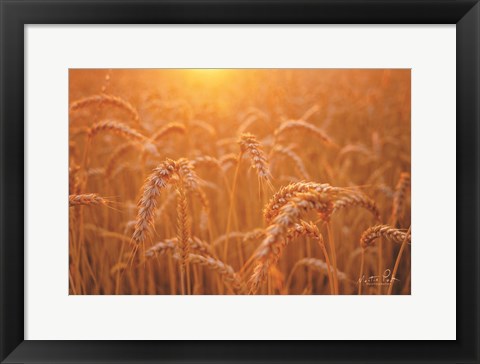 Framed Golden Morning Print