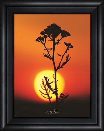 Framed Sleep Well Print
