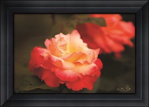 Framed Roses Print