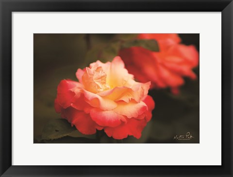 Framed Roses Print