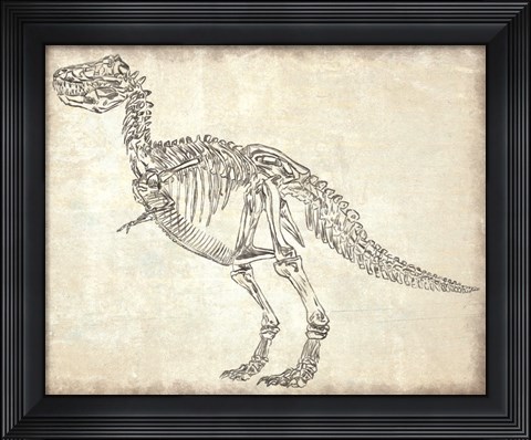Framed T-Rex Skeleton Print