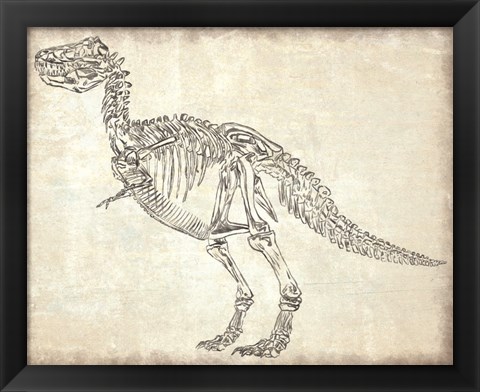 Framed T-Rex Skeleton Print