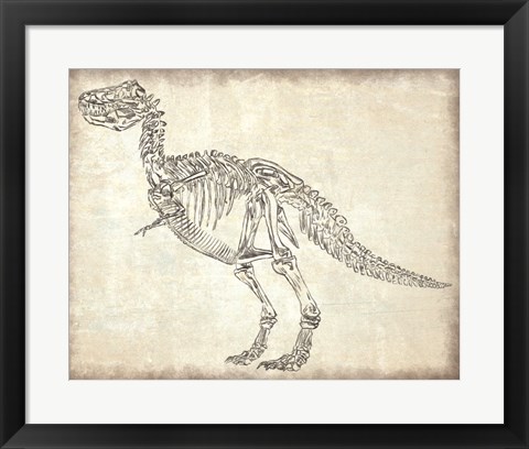 Framed T-Rex Skeleton Print