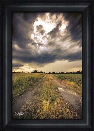 Framed Embrace the Storm I Print