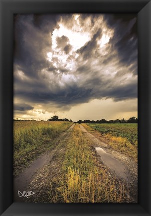 Framed Embrace the Storm I Print