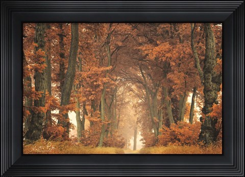 Framed Follow Your Own Way Print