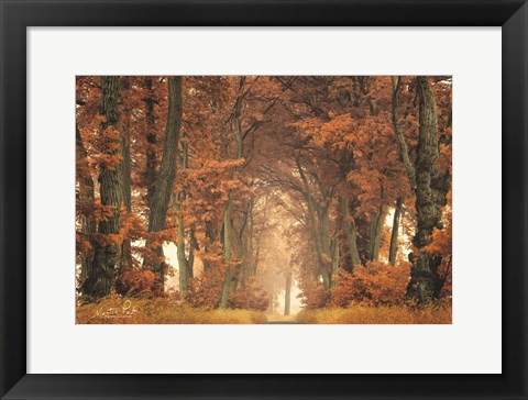 Framed Follow Your Own Way Print