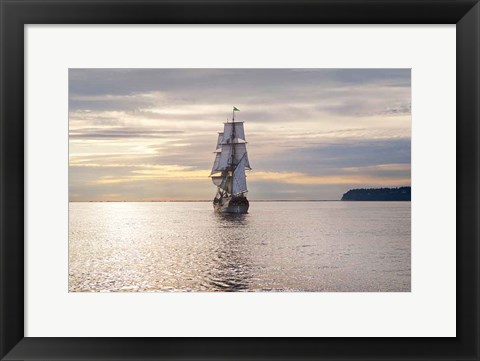 Framed Lady Washington III Print