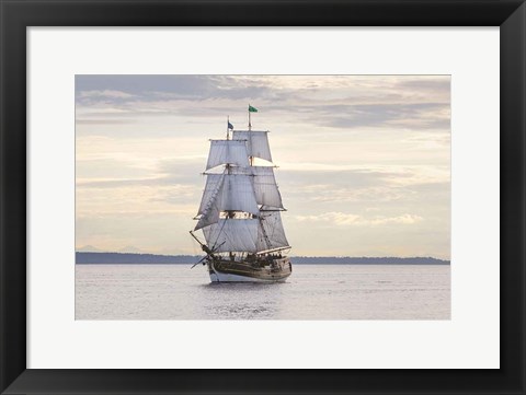 Framed Lady Washington II Print