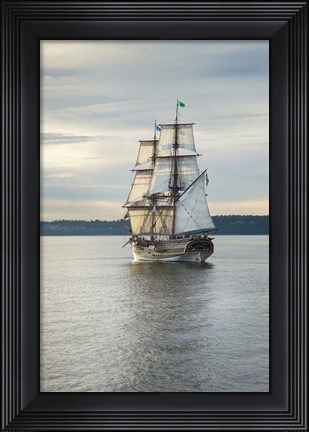 Framed Lady Washington I Print