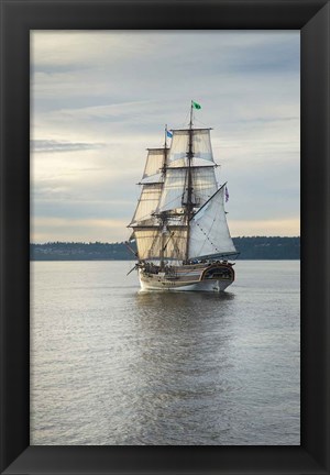 Framed Lady Washington I Print