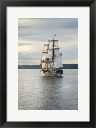 Framed Lady Washington I Print