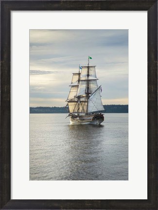 Framed Lady Washington I Print