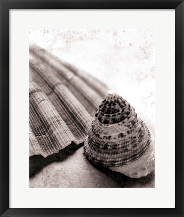 Framed Gifts From the Sea No Border Print